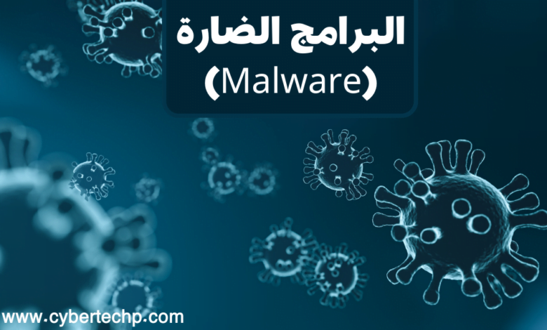 البرامج الضارة (Malware)
