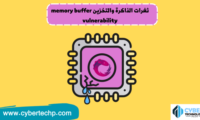 ثغرات الذاكرة والتخزين memory buffer vulnerability