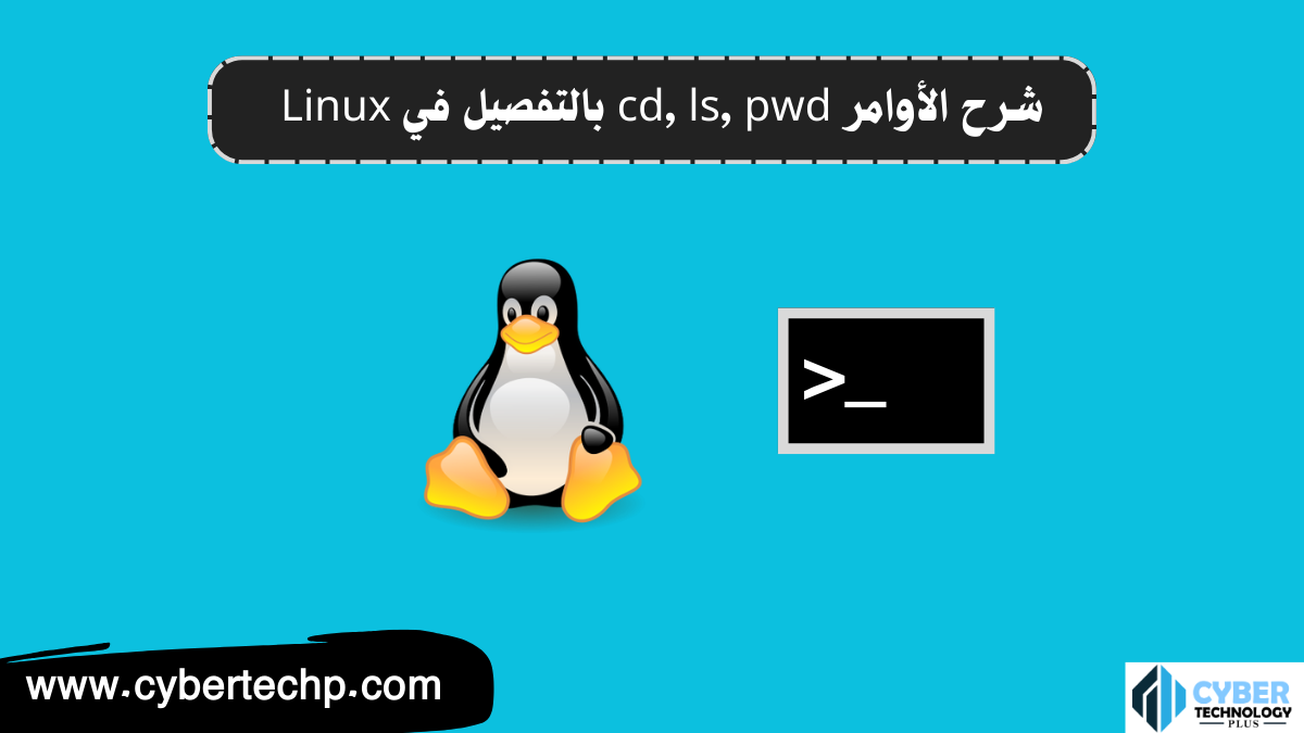 شرح الأوامر ls وcd وpwd بالتفصيل في Linux