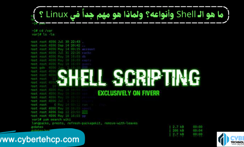 ما هو الـ Shell وأنواعه؟ ولماذا هو مهم جداً في Linux